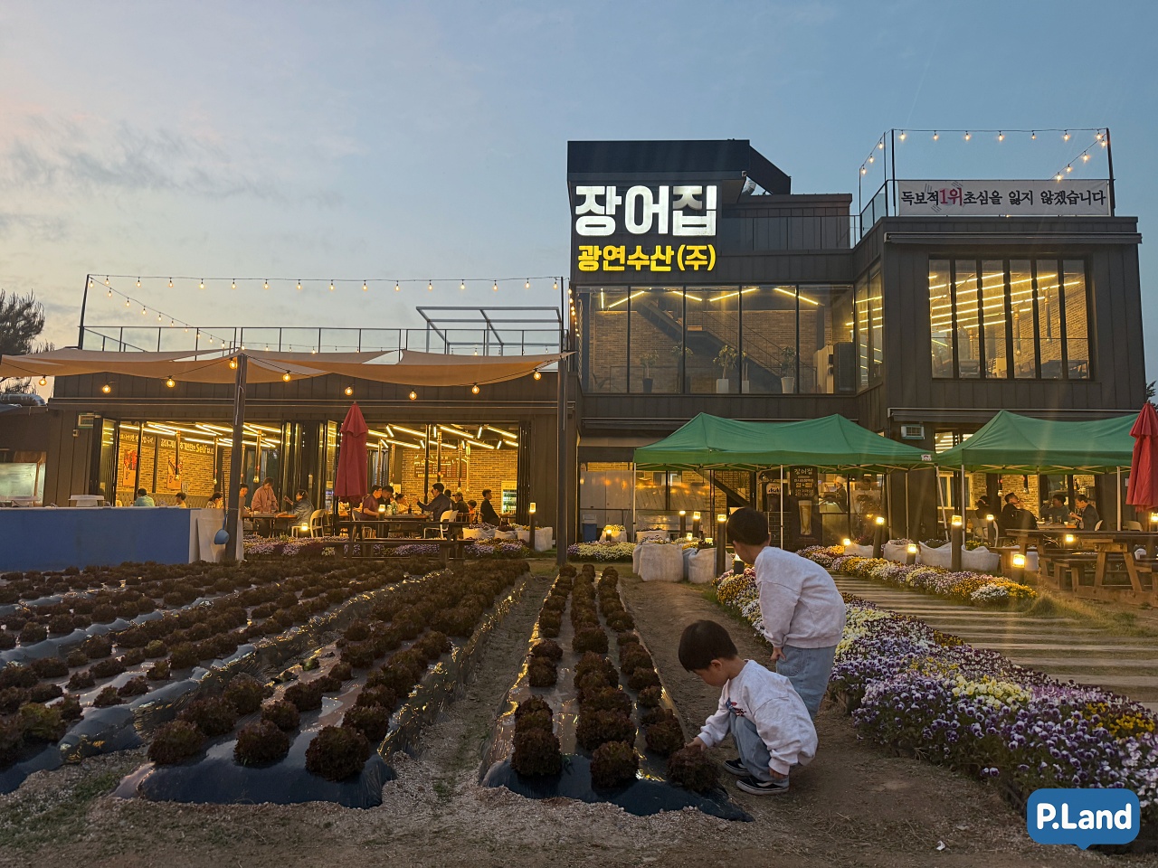 강동구 장어 맛집 광연수산 – 식당 앞에 가지런히 심어진 상추를 신기해하는 아이들