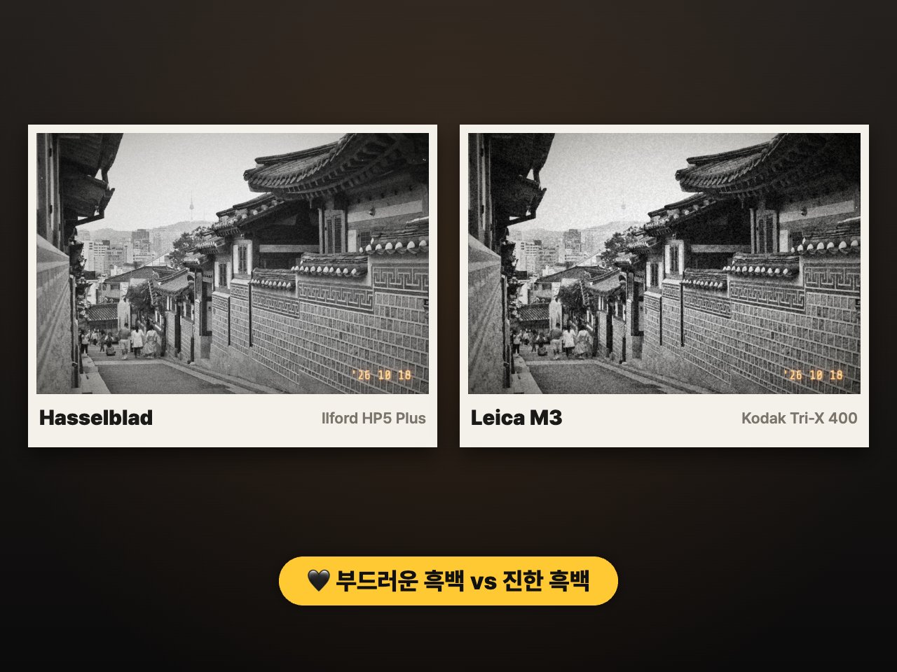 Hasselblad 일포드 HP5와 Leica M3 트라이엑스 흑백 필름 비교